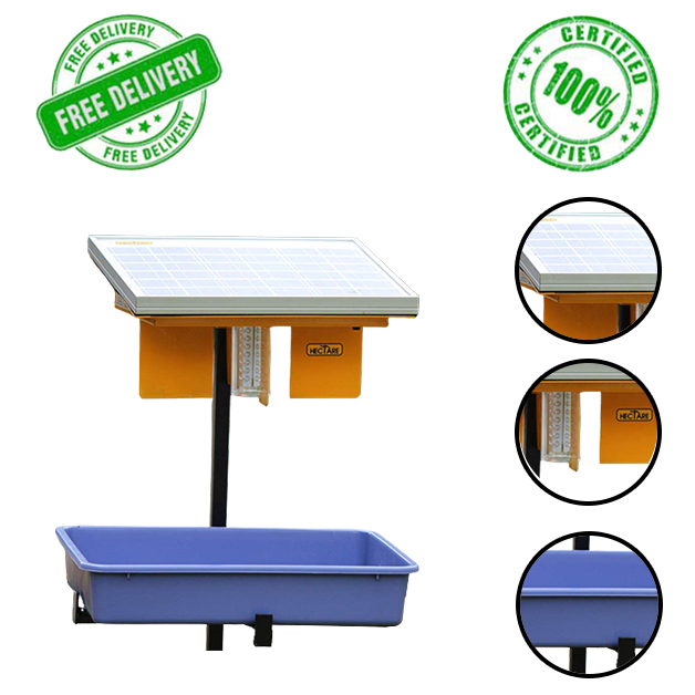 Hectare-Automatic-Solar-Insect-Trap-with-10-watt-Solar-Panel-UV-Light.